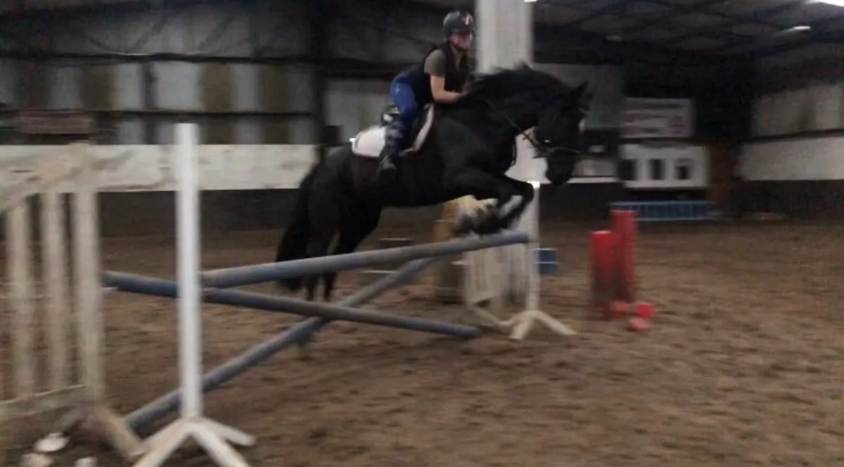 Incredible showmaster 15’3 ISHX - Image 3