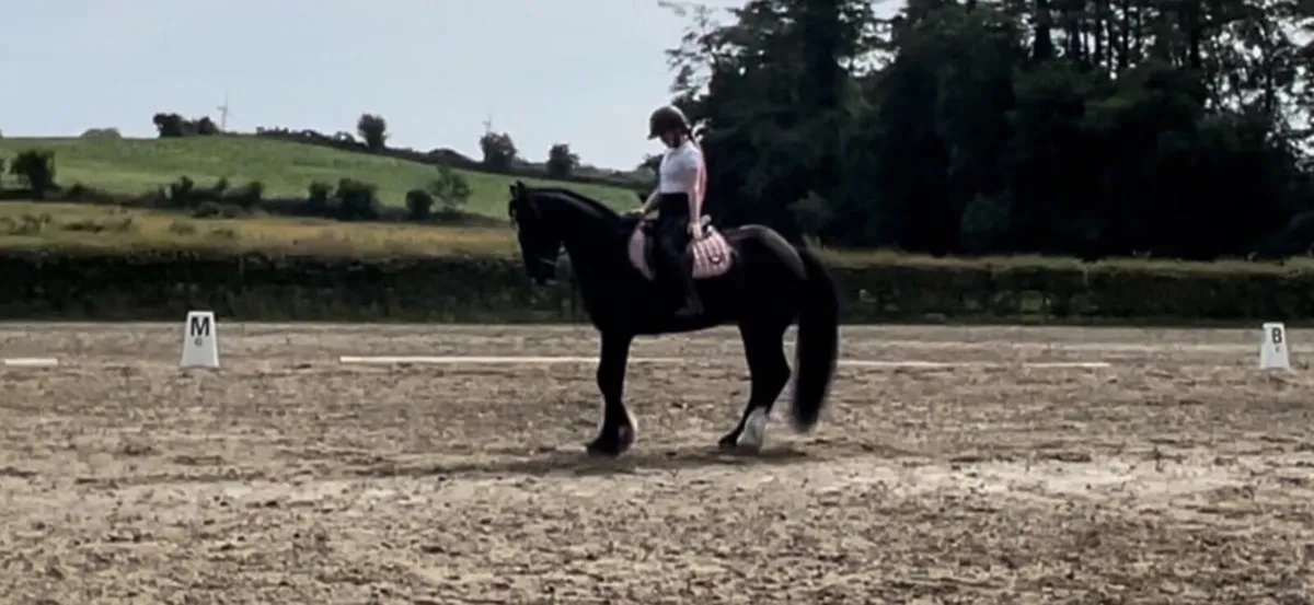 Incredible showmaster 15’3 ISHX - Image 4