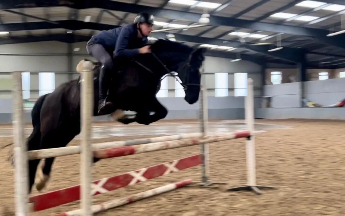 Incredible showmaster 15’3 ISHX - Image 1