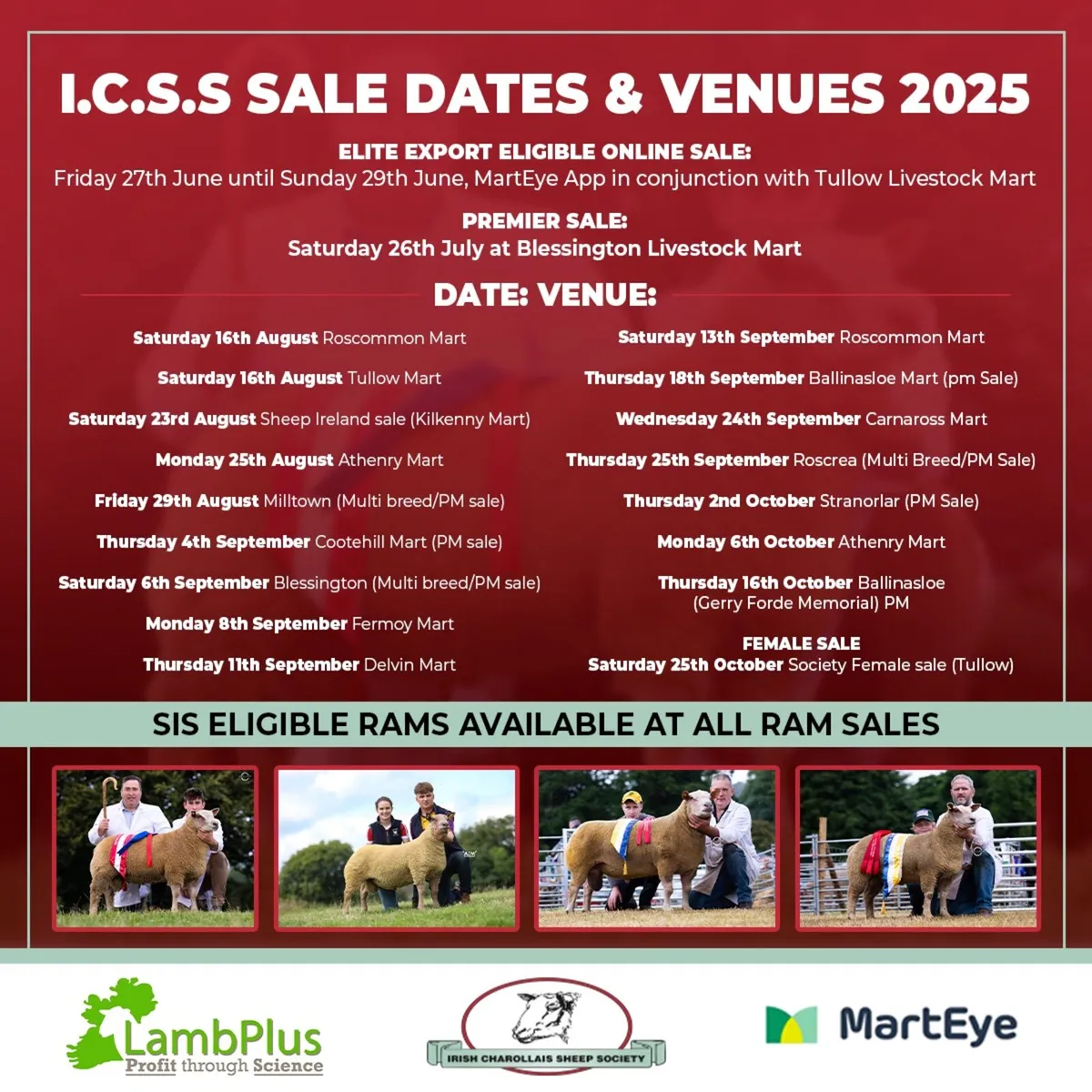 Upcoming charollais ram sales - Image 3