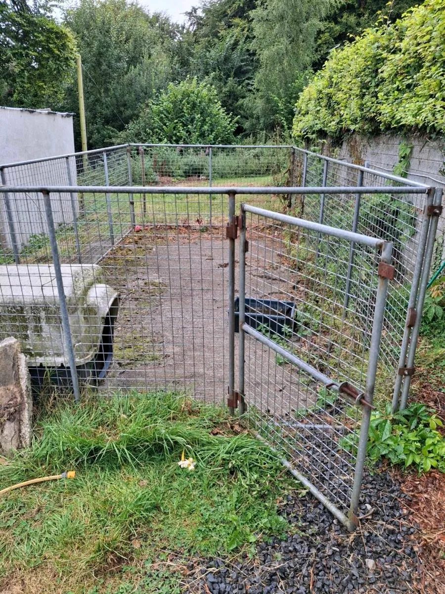 Dog run - Image 3