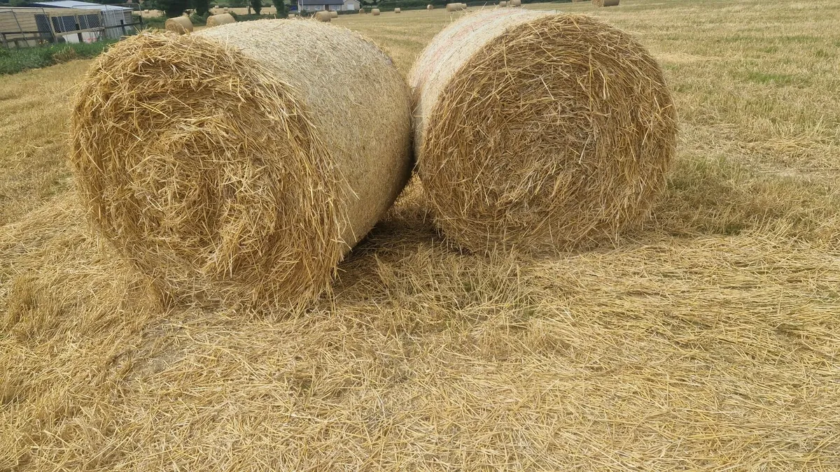 Straw - Image 1