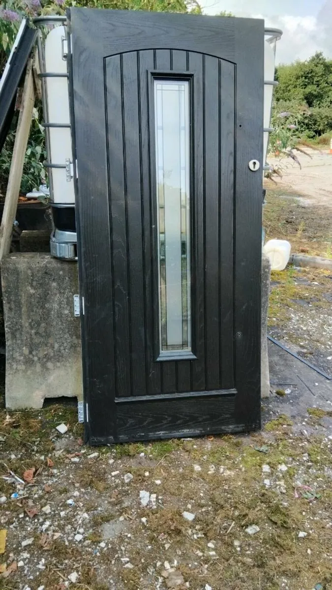 Palliside door - Image 1