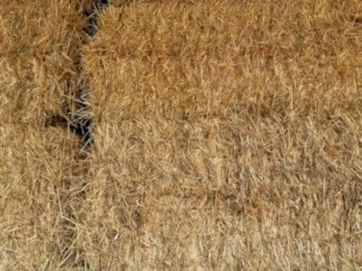 Good Quality Straw for Sale - Image 1
