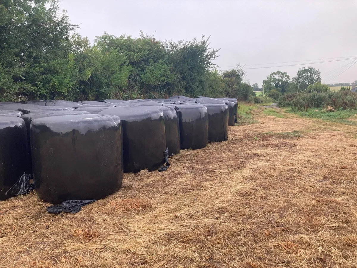 Top Quality Haylage - Image 1