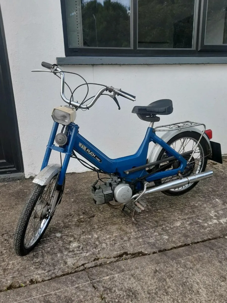 Puch maxi 49cc - Image 2