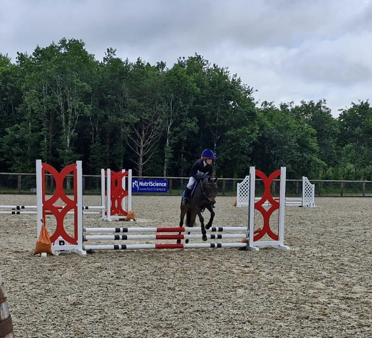 Showjumping Pony - Image 1