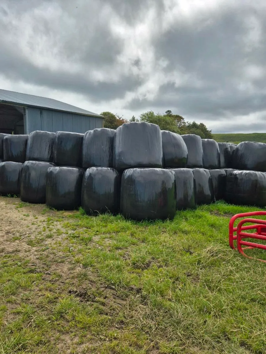Haylage silage - Image 1