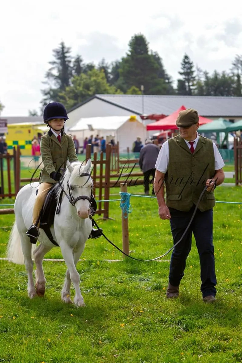Lead rein/first ridden - Image 1