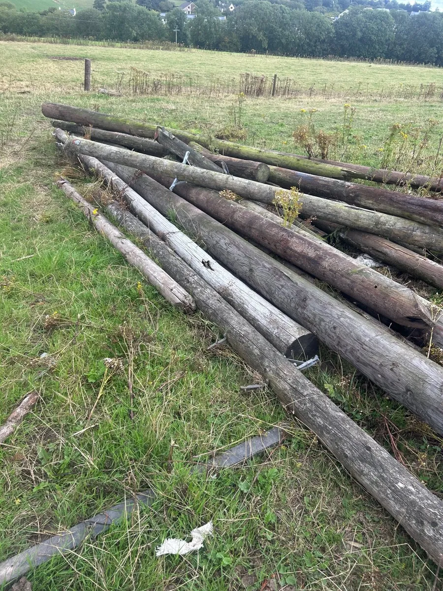 Poles for sale - Image 1