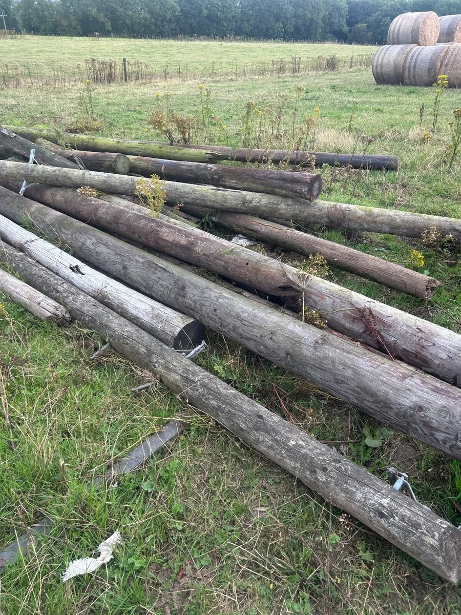 Poles for sale - Image 2