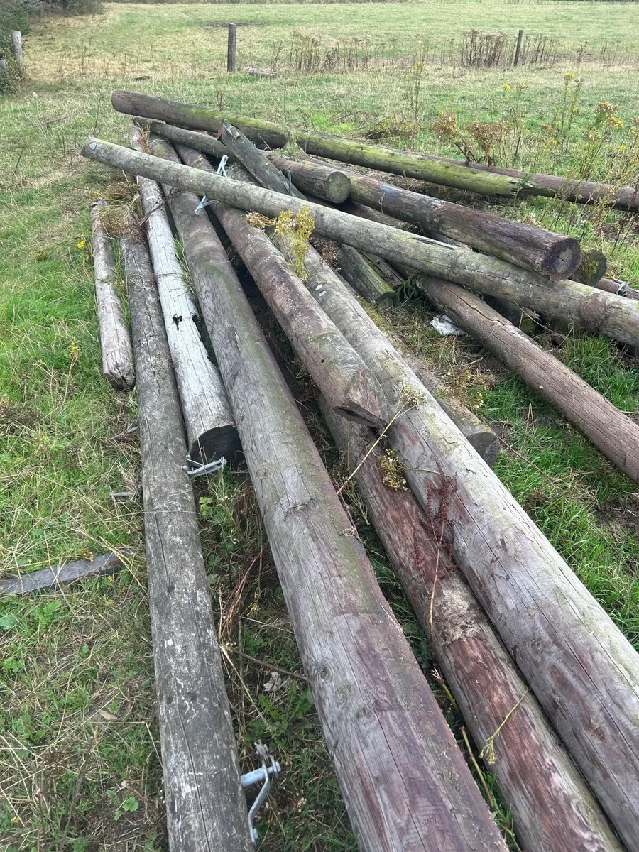 Poles for sale - Image 3