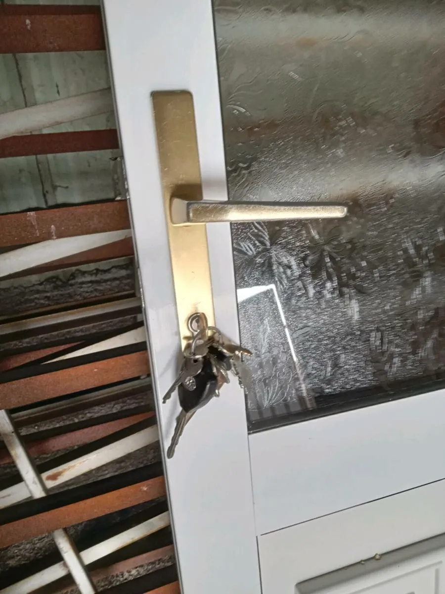 Door - Image 3