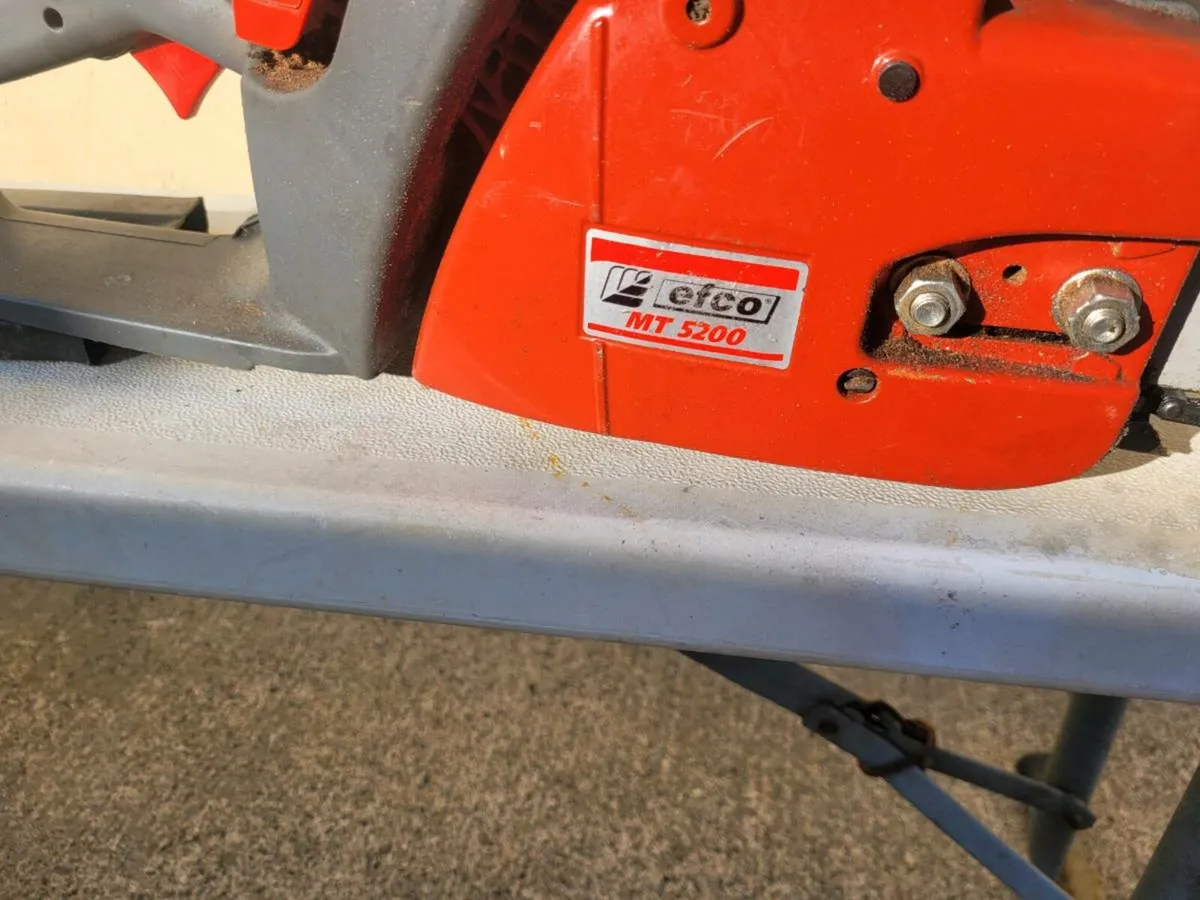 Efco chainsaw and  leafblower - Image 3