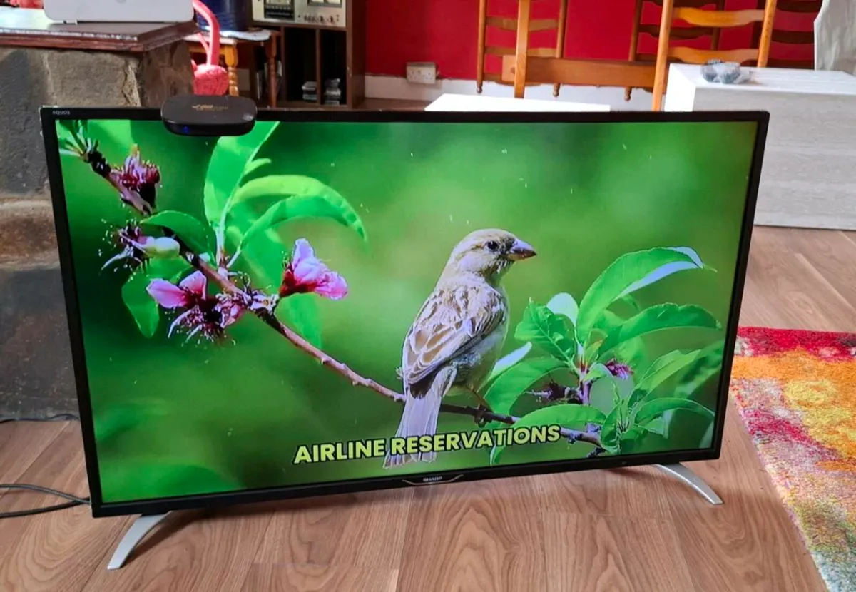 40 INCH TV