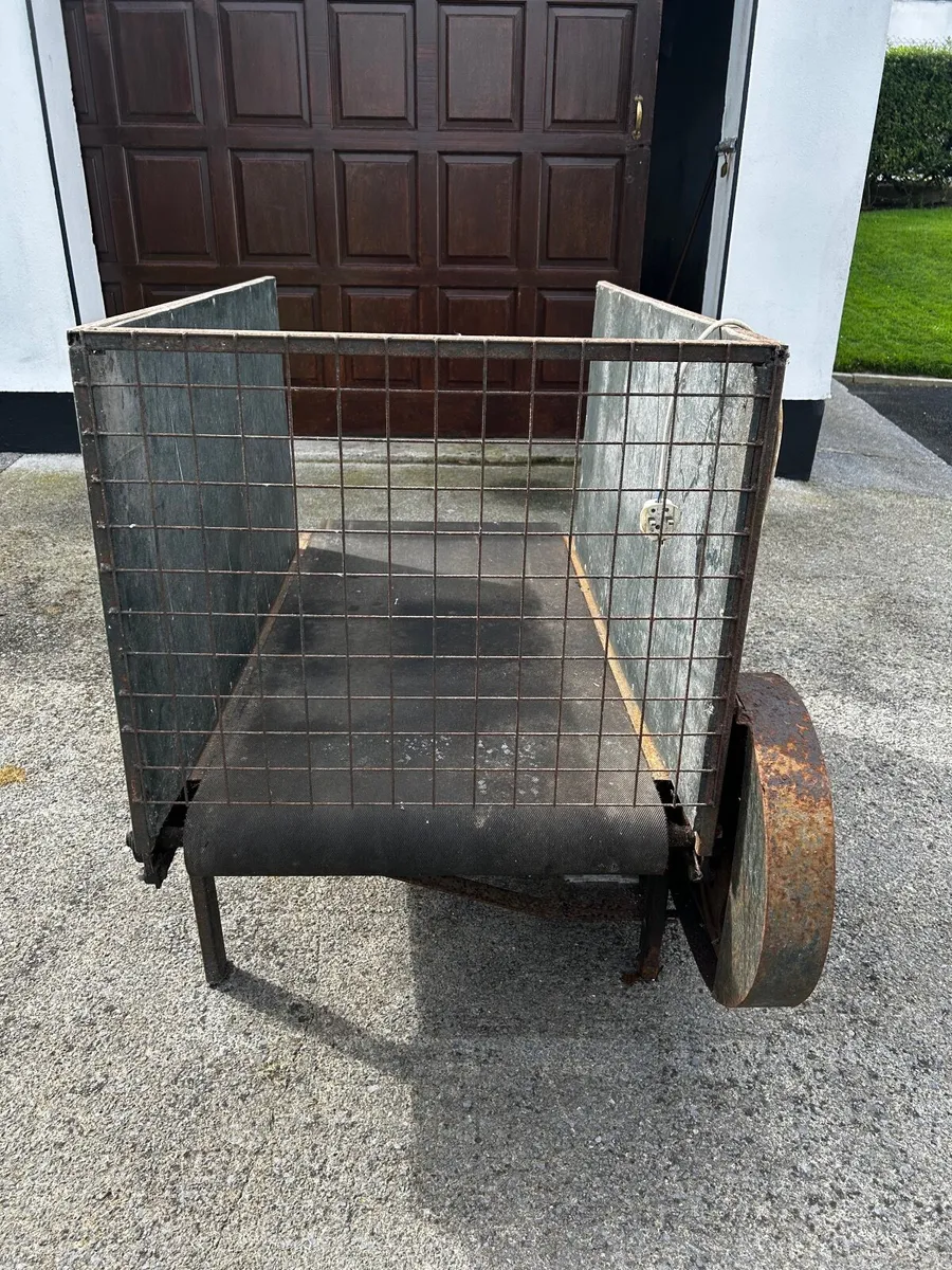 Dog walker treadmill - Image 3