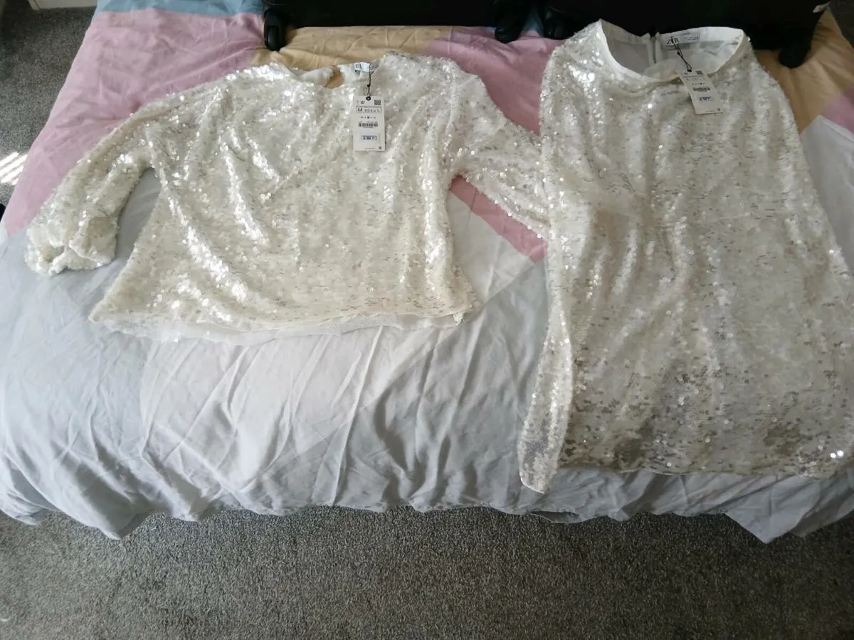Zara top and skirt - Image 1