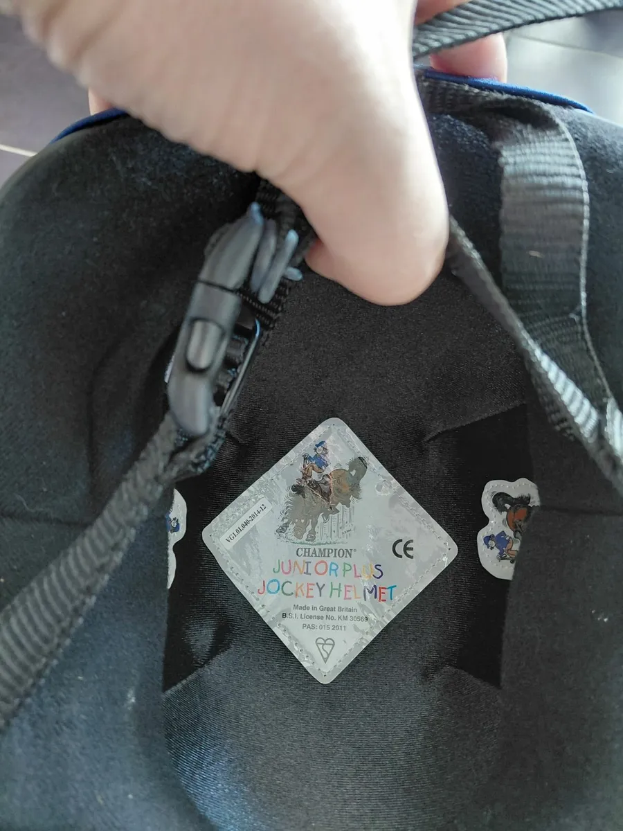 Horse riding back protector & helmets. - Image 3