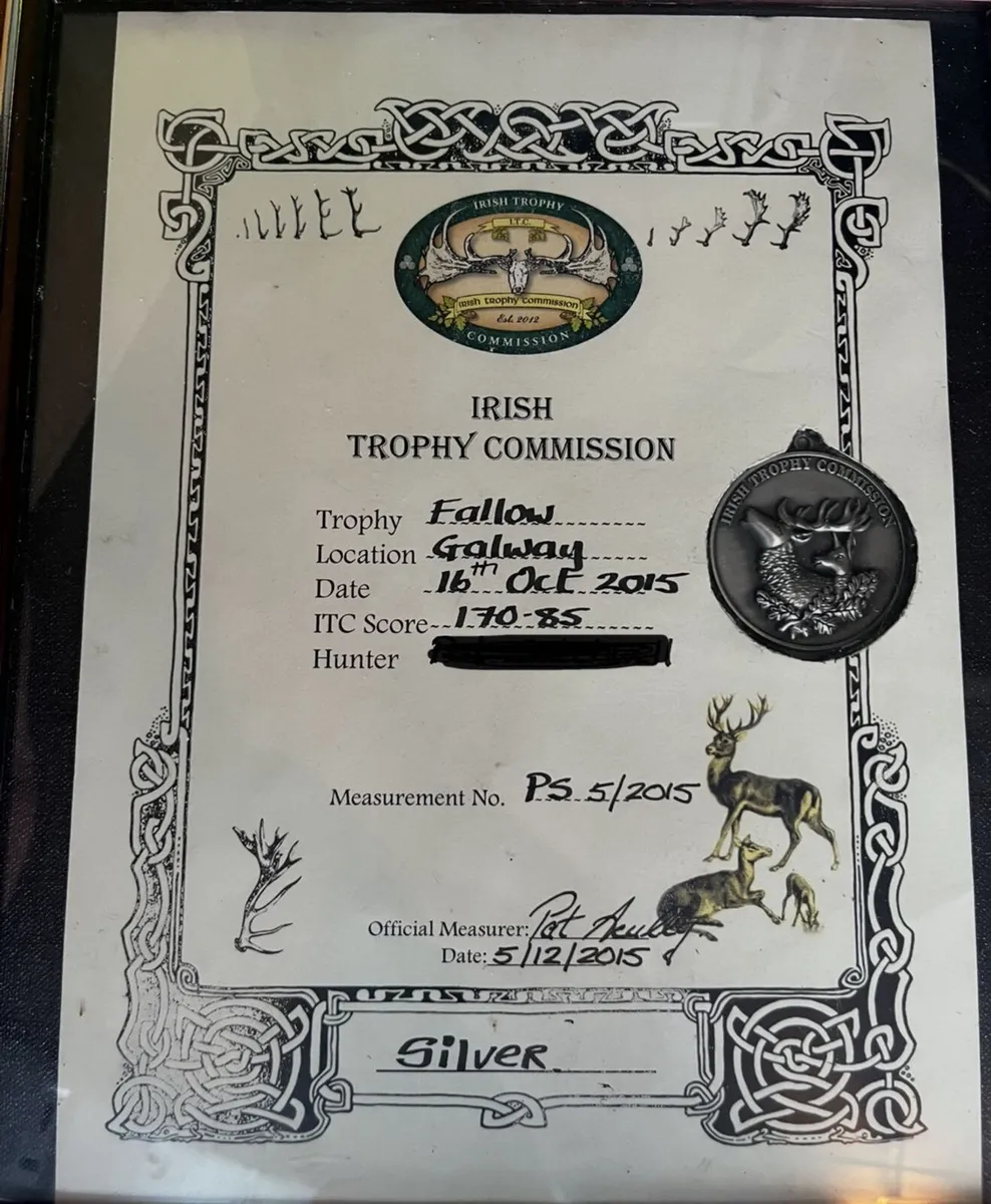 Fallow deer head, Silver medal - Image 4