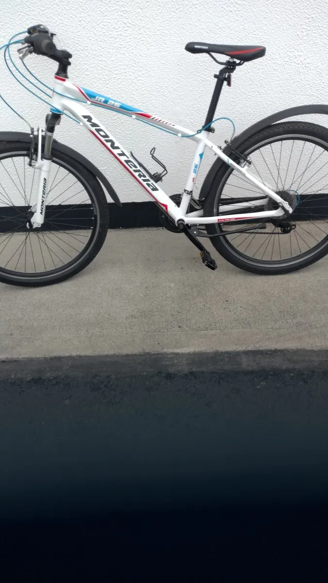 Mountain bike - Image 2