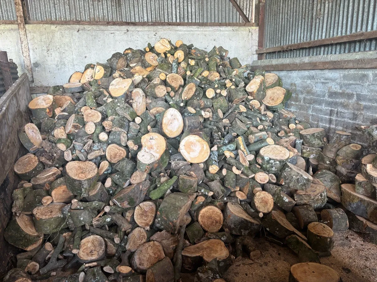 Firewood/ hardwood - Image 1