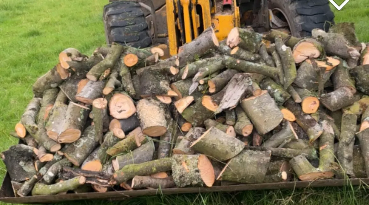 Firewood/ hardwood - Image 3