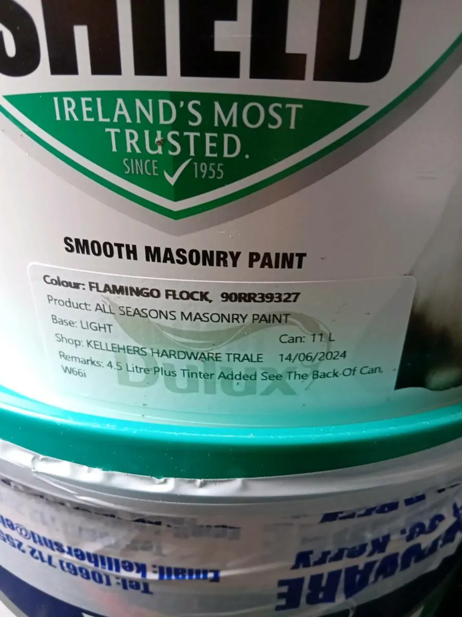 EXTERIOR Paint - Image 3