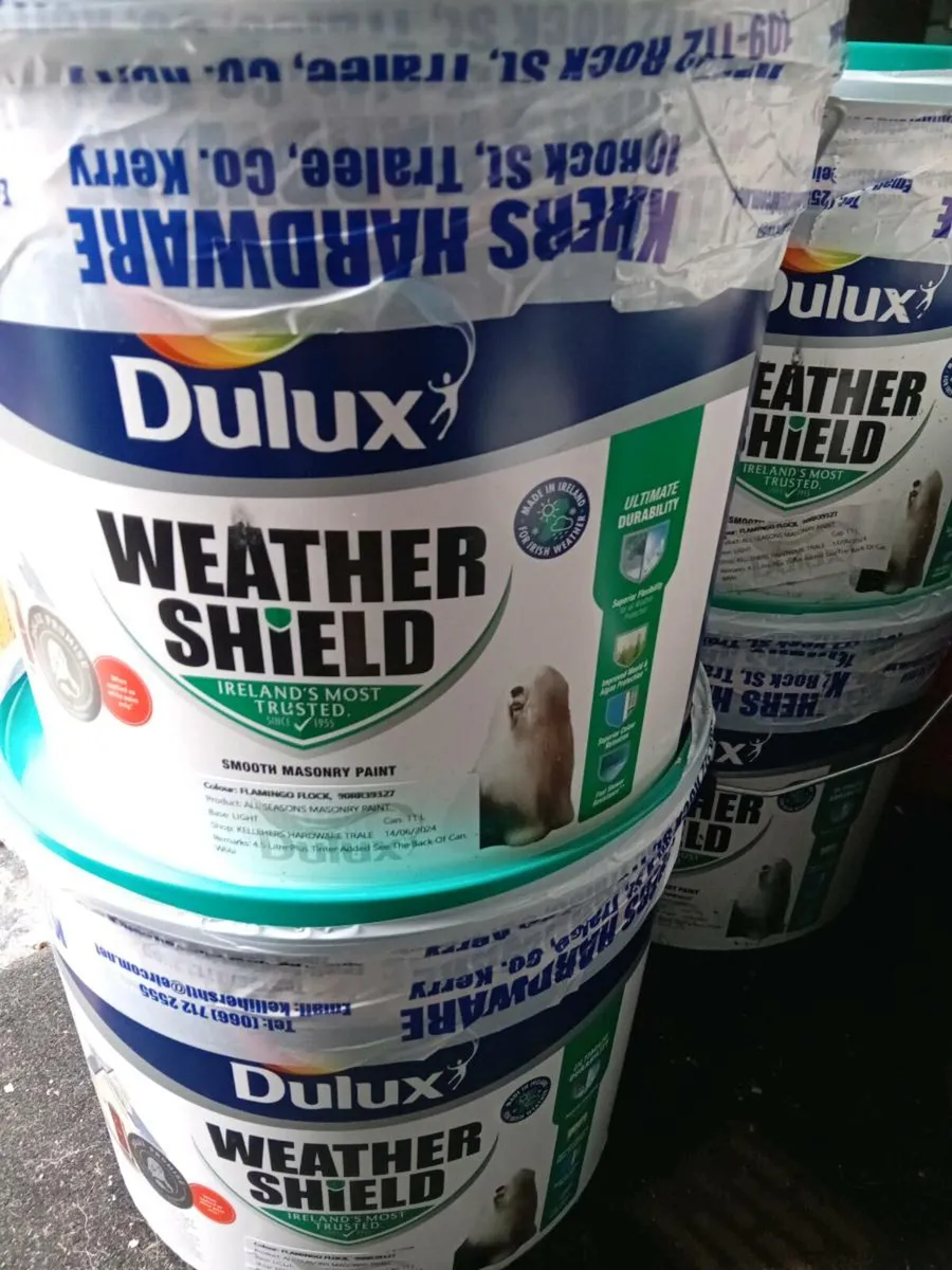 EXTERIOR Paint - Image 1