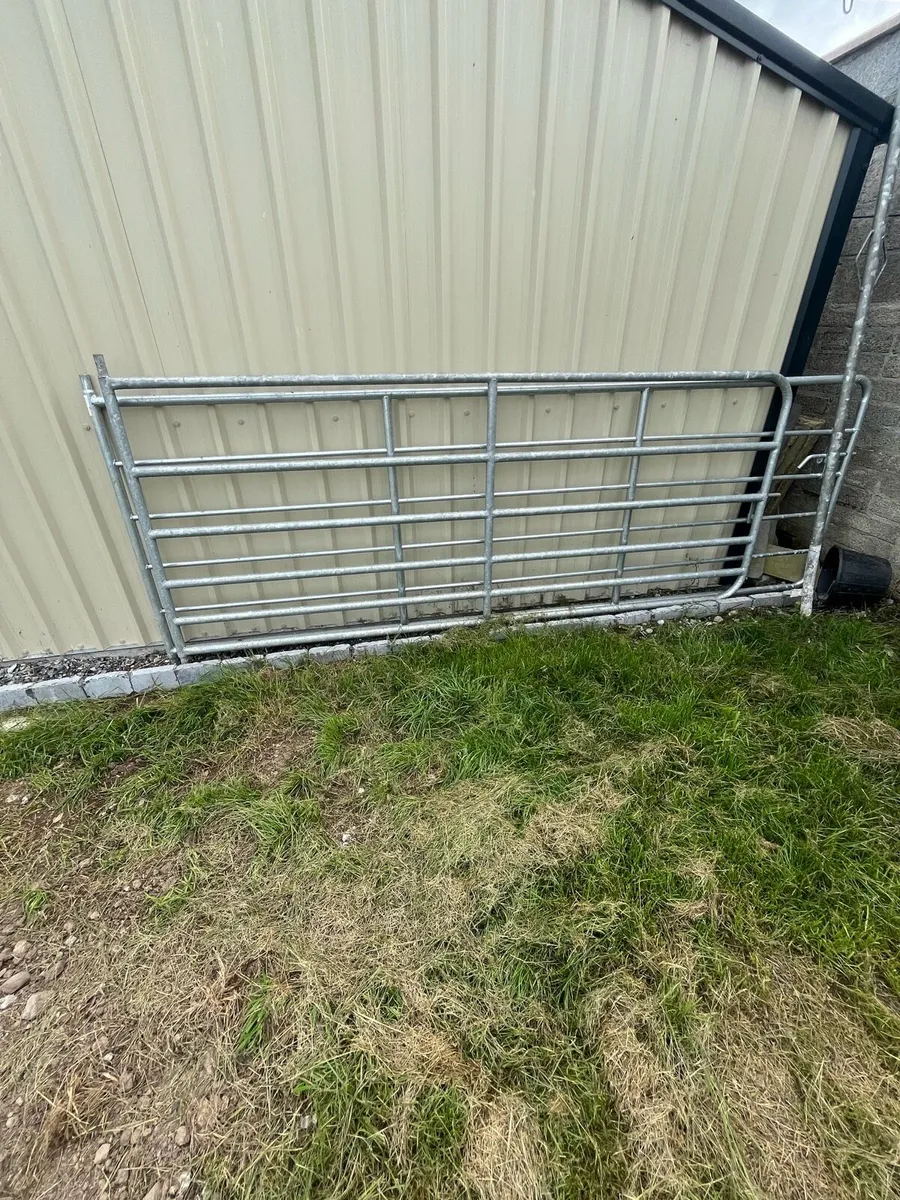 Gates and fence posts reduced price - Image 1