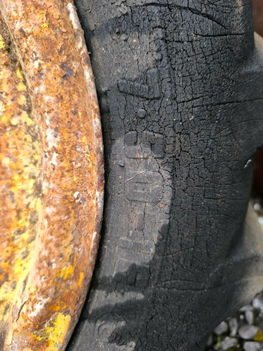 Dumper rims and tyres - Image 2