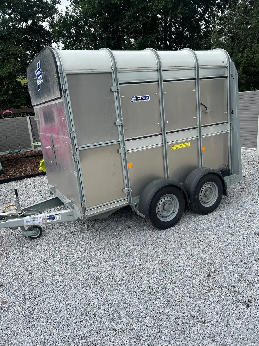 New iforWilliams cattle trailer - Image 1