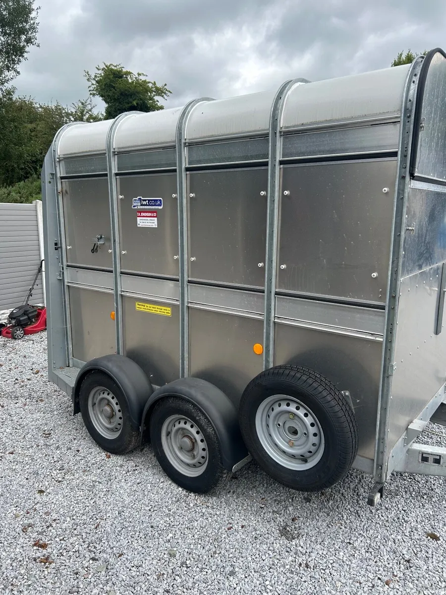 New iforWilliams cattle trailer - Image 2