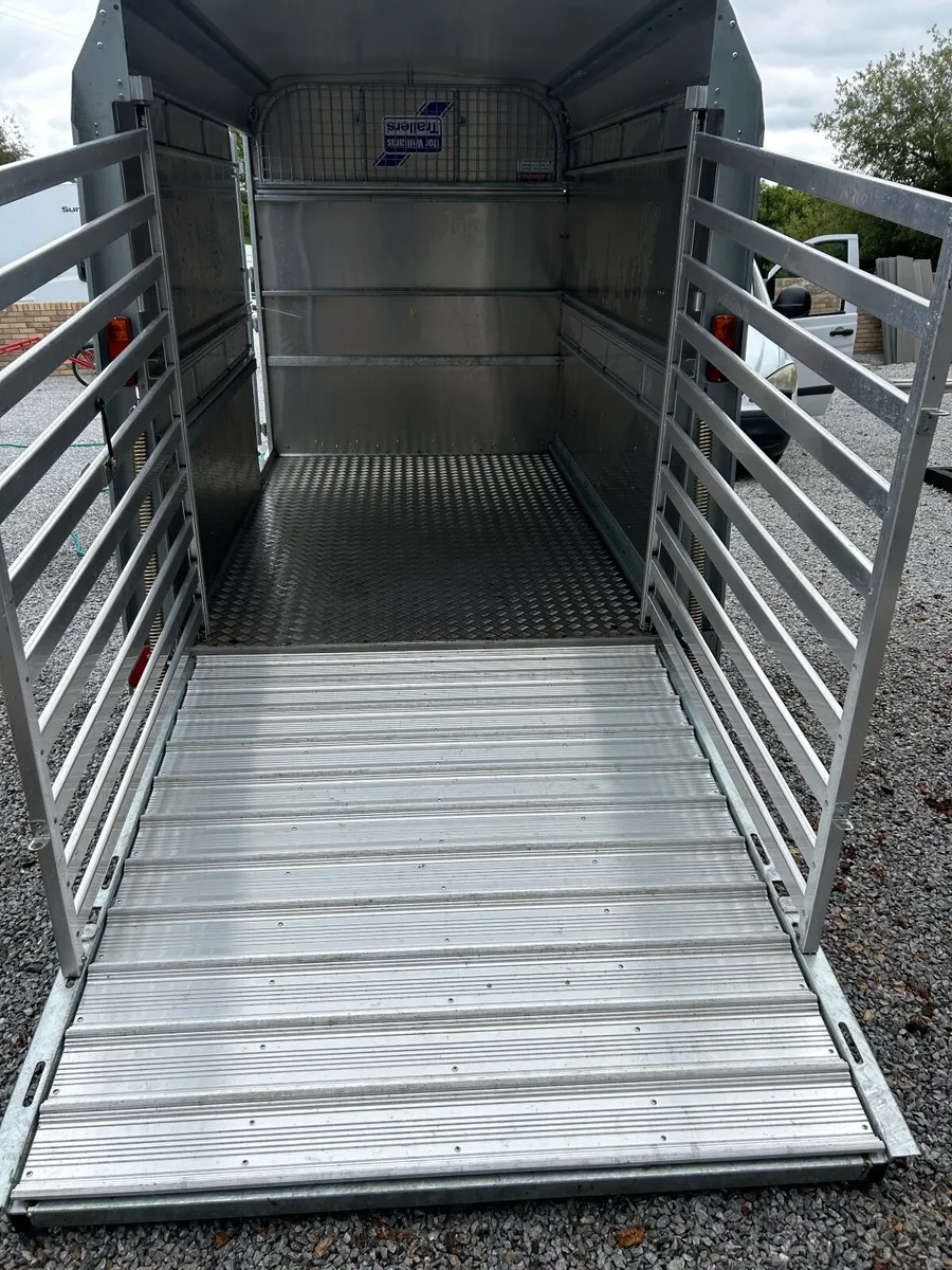 New iforWilliams cattle trailer - Image 4
