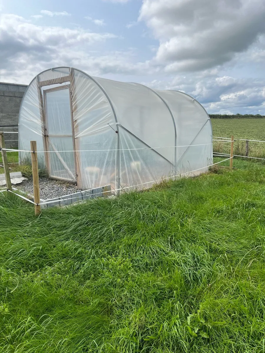 Polly tunnel for sale - Image 2