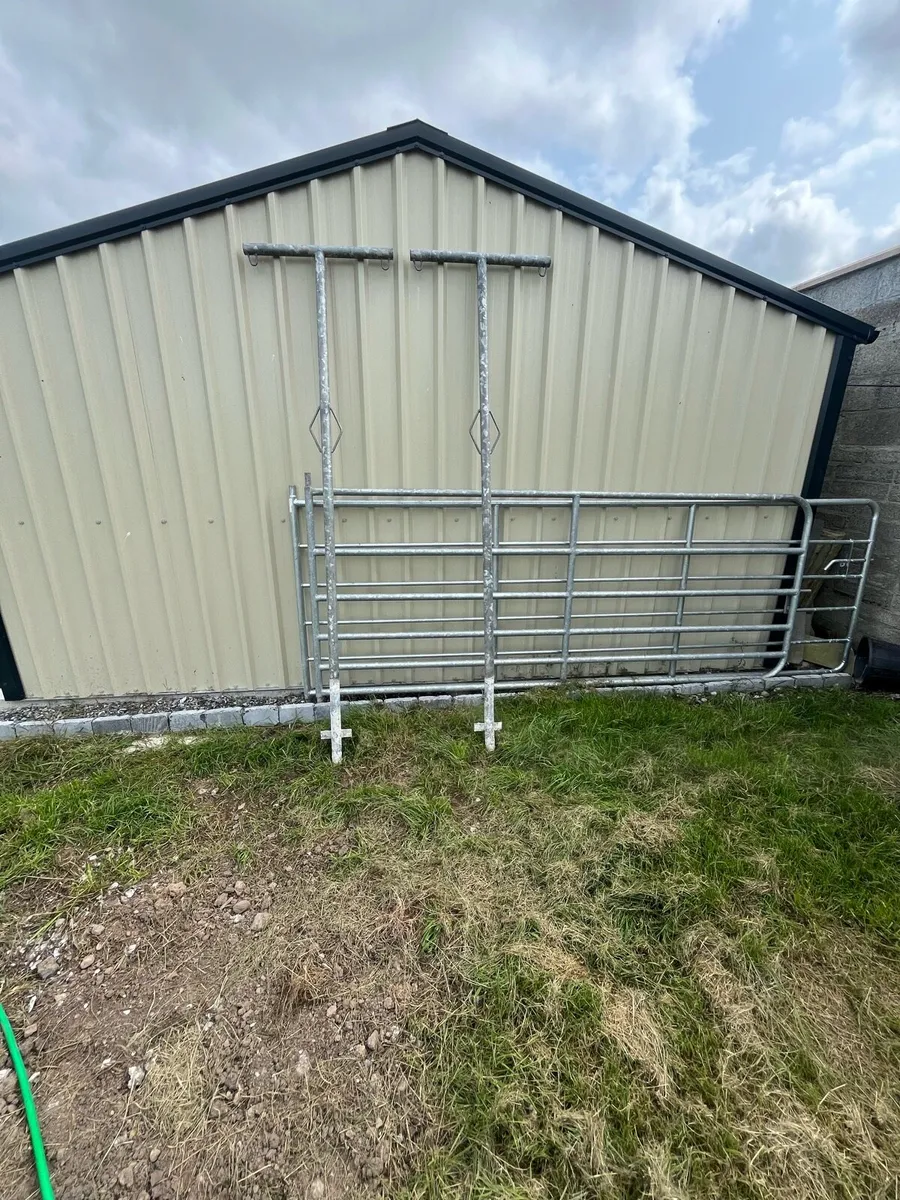 Clothes line reduced to clear - Image 2
