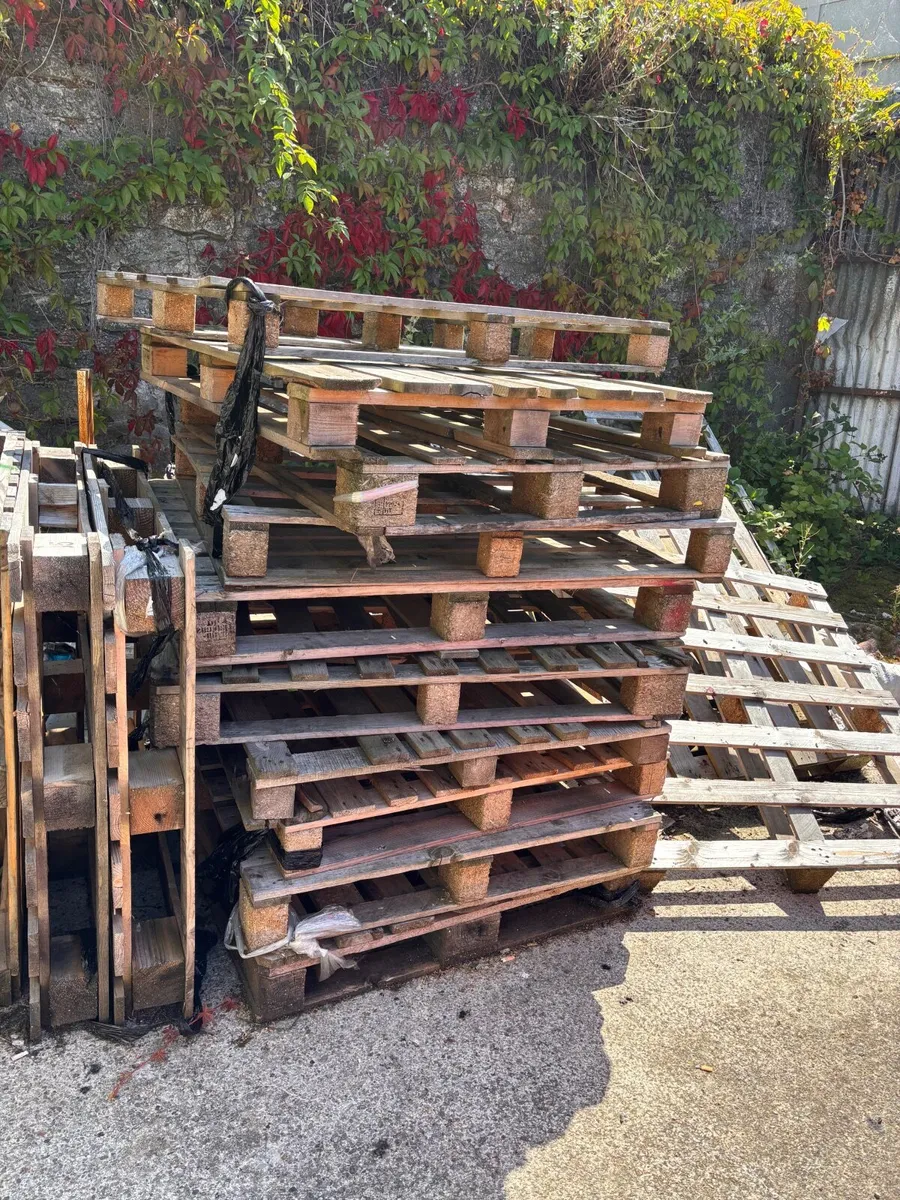 20+ Pallets for Free