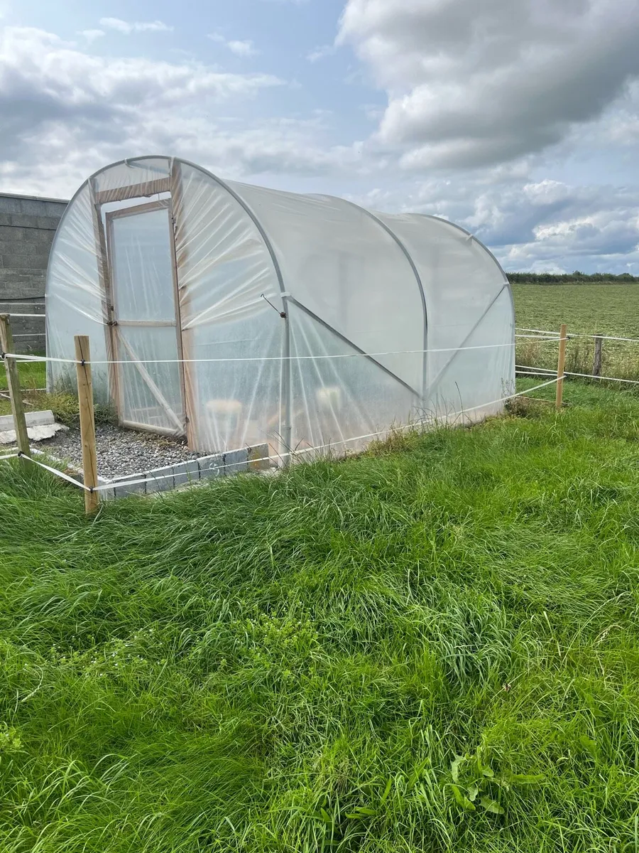 Polly tunnel for sale - Image 1