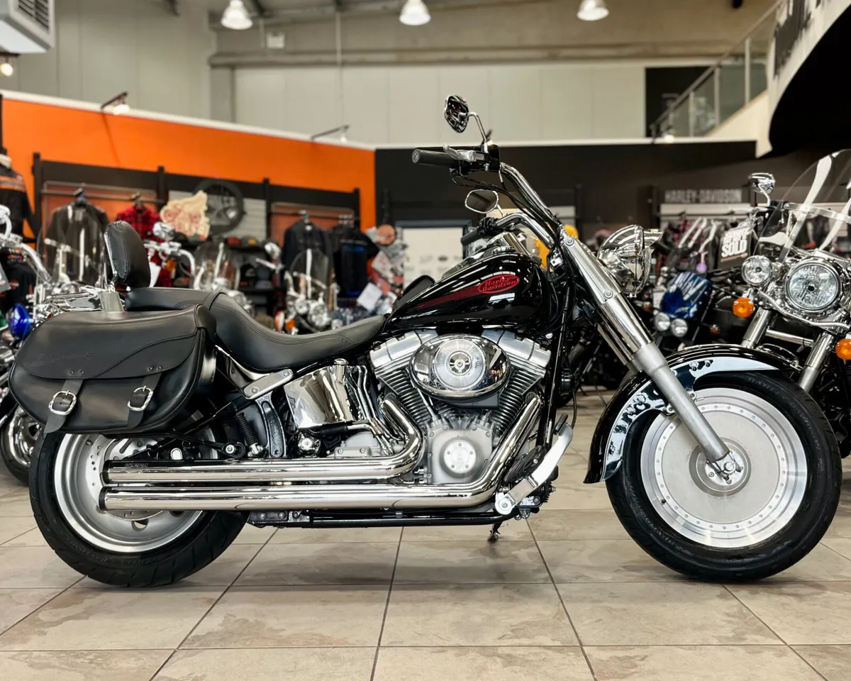 HARLEY-DAVIDSON SOFTAIL CUSTOM - Image 1