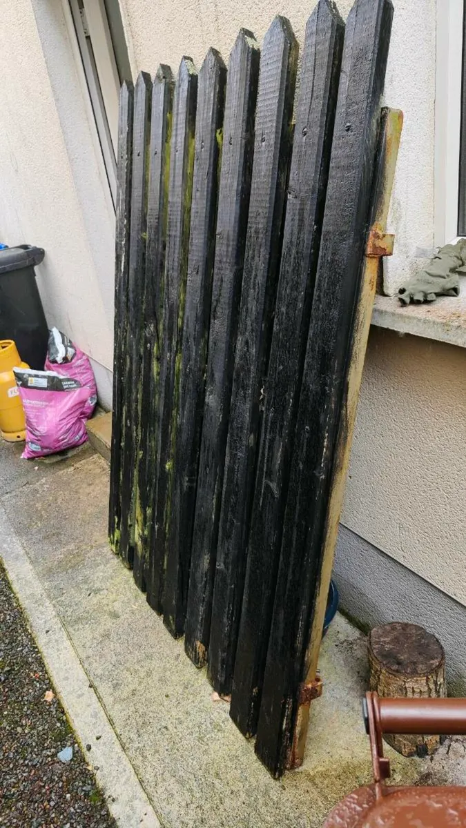 Gate (6ft x 4ft) - Image 1