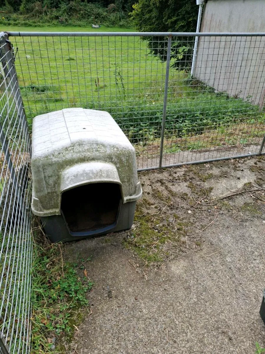 Dog run - Image 4