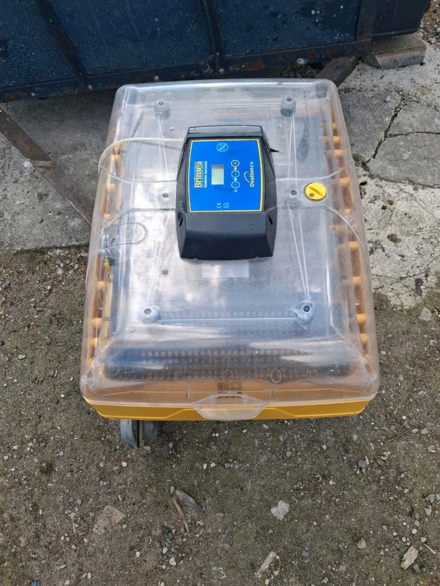 Incubator - Image 1