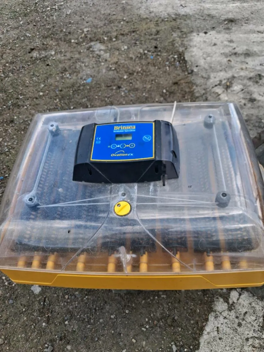 Incubator - Image 2