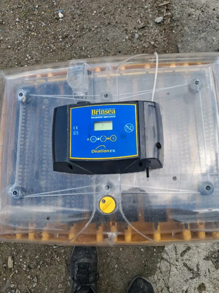 Incubator - Image 3
