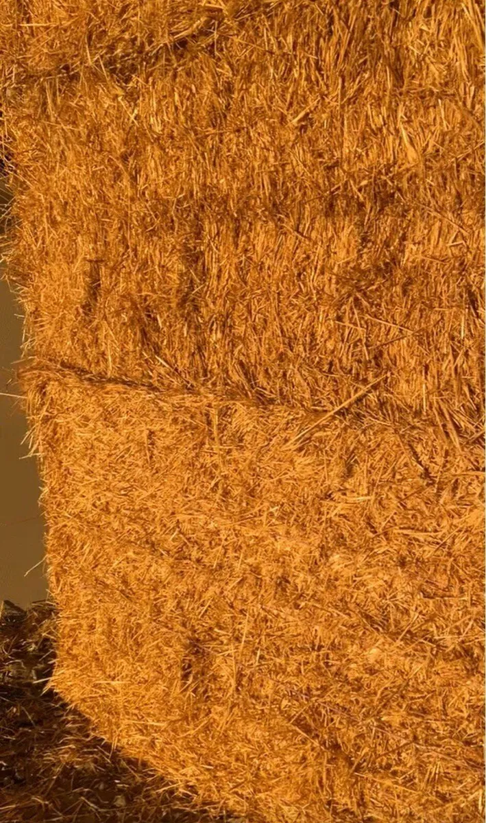 English Barley Straw - Image 1