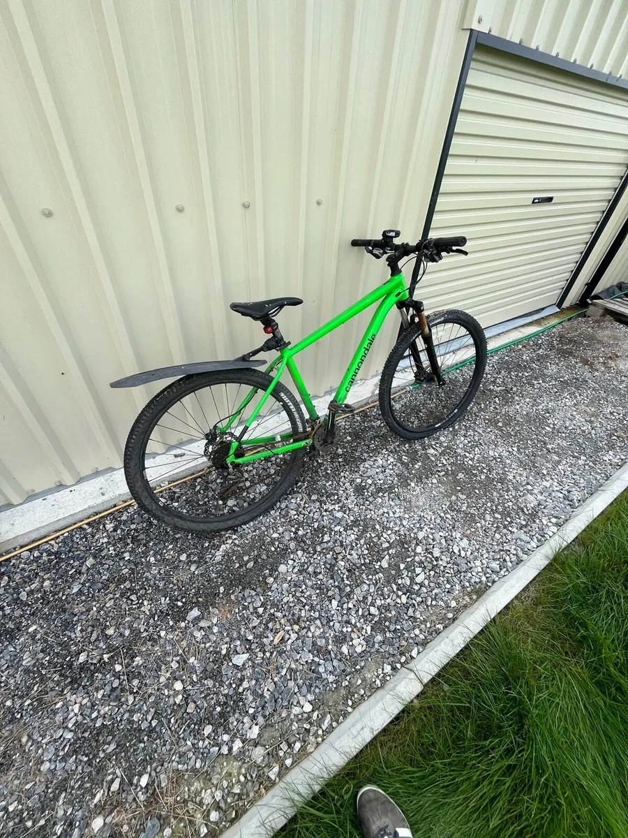 2 bikes for sale - Image 2