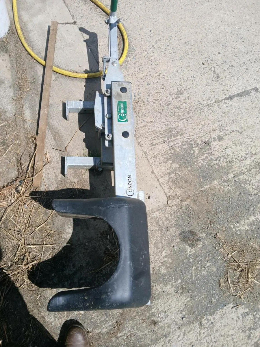 Condon Head Scoop - Image 2
