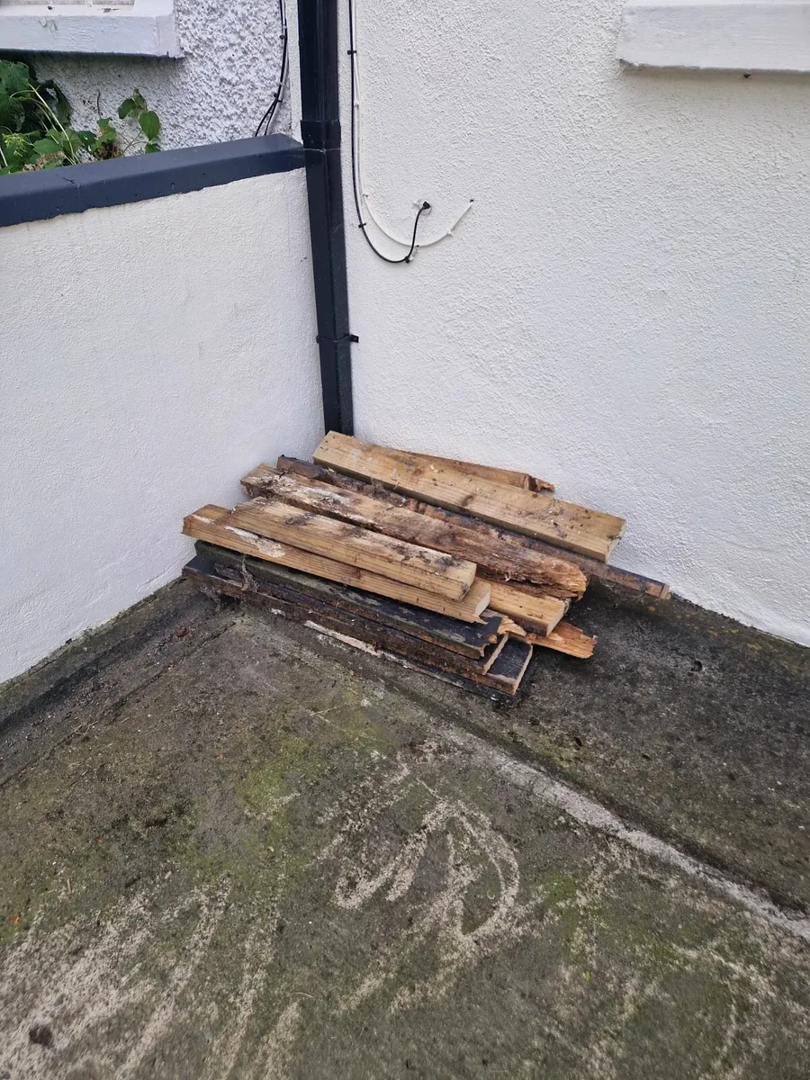 Firewood - Image 1