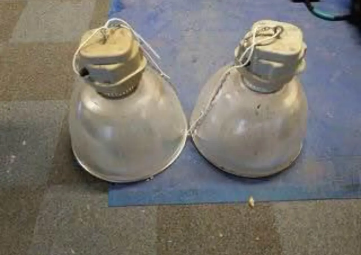 High bay lights for cattle house - Image 1