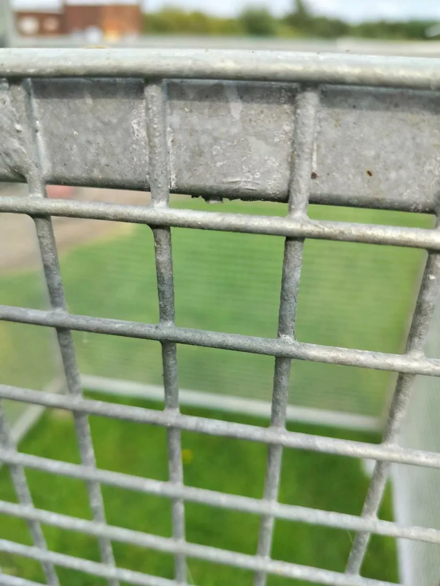 Galvanised steel mesh compound dog - Image 4