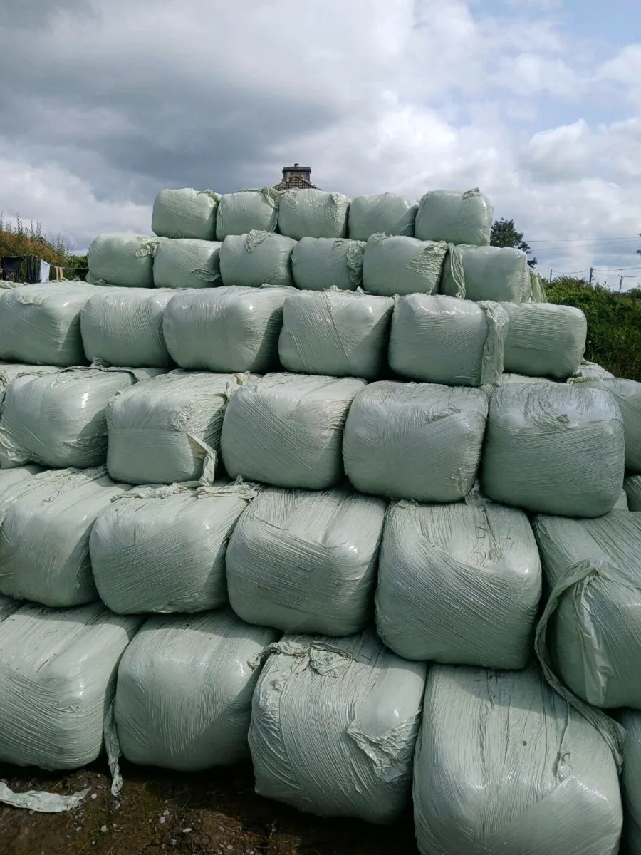 Square bale haylage - Image 1